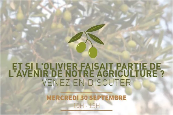 Et si l'olivier faisait partie de l'avenir de notre agriculture ? Venez en discuter