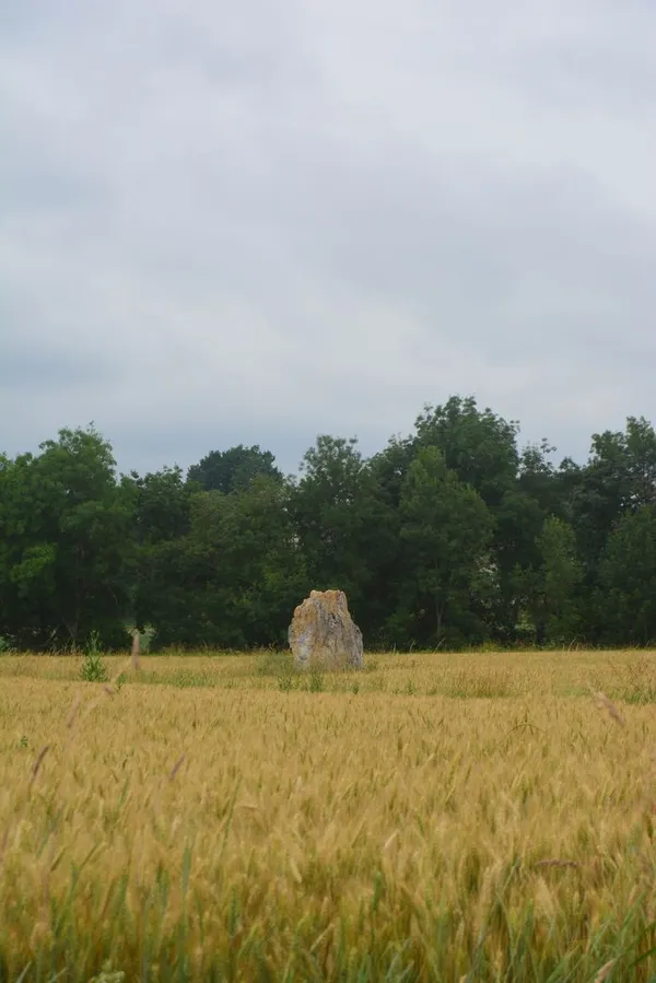 Circuit vélo entre menhirs et dolmens