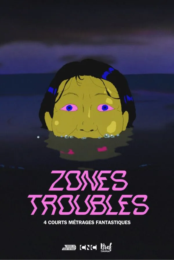 Zones Troubles
