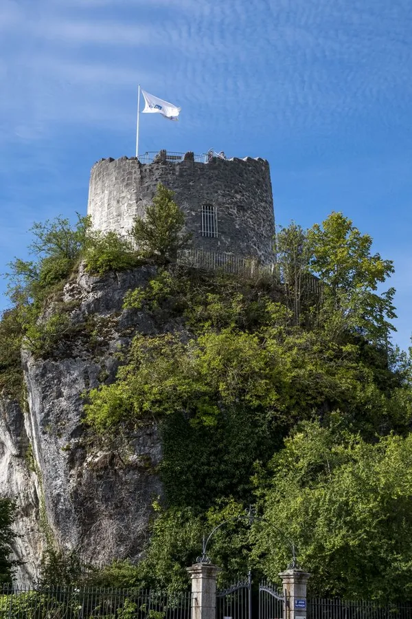 La Tour des comtes de Genève