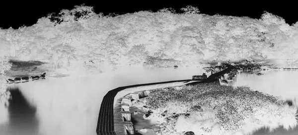 Visite guidée, exposition "la photographie au sténopé" par Eddy Rivière
