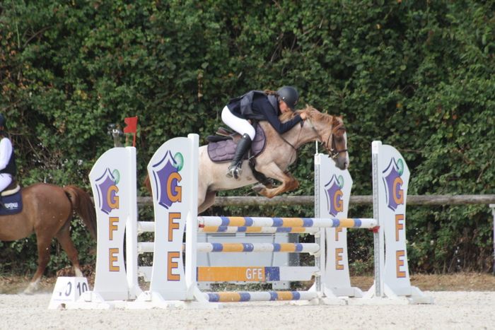 Concours de saut d’obstacles Club-Poney au Haras des Louveaux
