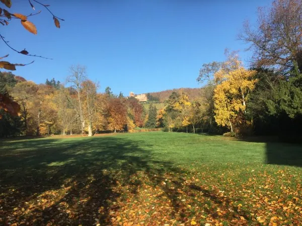 Visite commentée du parc du manoir de Kintzheim