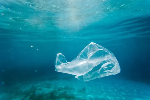 Conférence : “La vie de ma mer (sans plastique)”