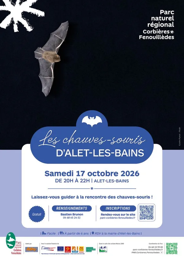 A la découverte des chauves-souris d'Alet