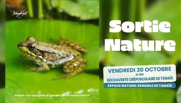 Sortie nature : découverte crépusculaire de Tanaïs