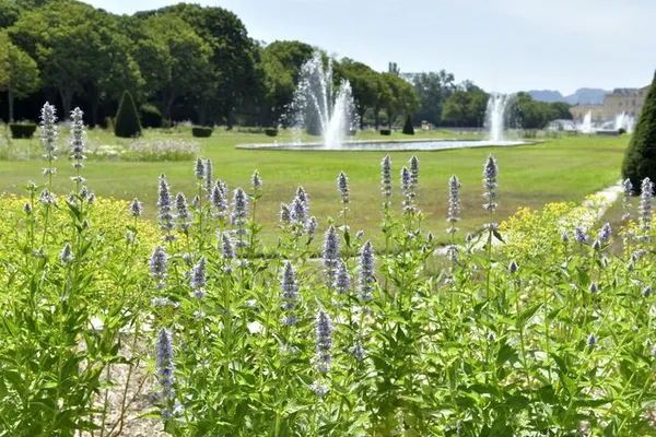 DU JARDIN DE LA MAGALONE AU PARC BORELY
Visite balade « Trame verte - Patrimoine végétal »