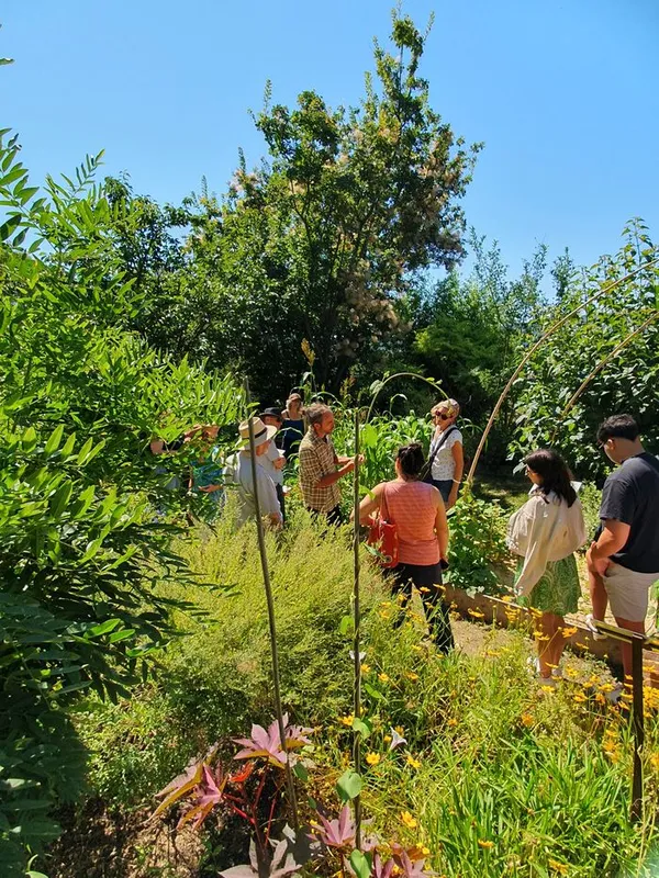 Visite guidée du jardin des plantes tinctoriales de Lauris