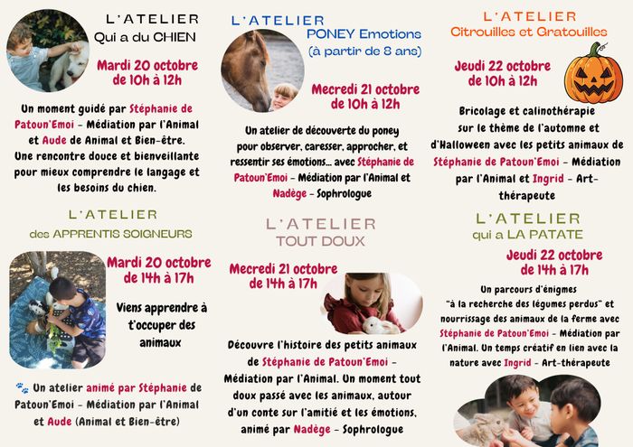6 Ateliers autour de la nature et des animaux - Spécial Enfants & Ados