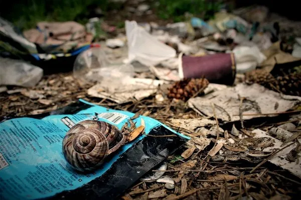 CHAVILLE - Déchets : enjeux, impacts et solutions près de chez vous !