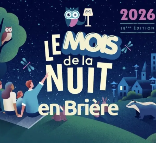 COMPLET - Atelier bricolage - Créez un gite pour les chauves-souris !