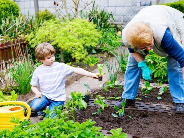 JARDIN INTERGENERATIONEL