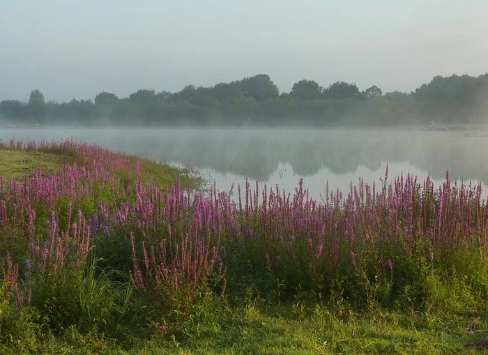 A la découverte de l’eau et de ses secrets