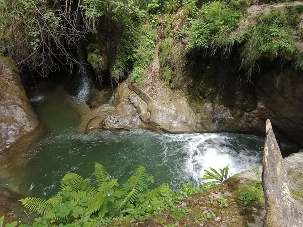 Sortie découverte de la biodiversité des canyons aux Ecouges