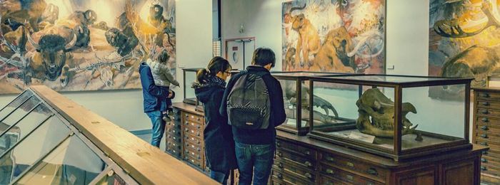 Visite guidée du musée de géologie #FDS2026