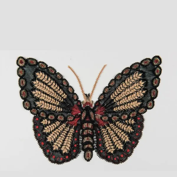 Collection Micro-Folie : Les INSECTES : dans l'art et la nature