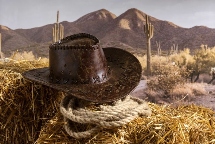 COWBOY PARTY