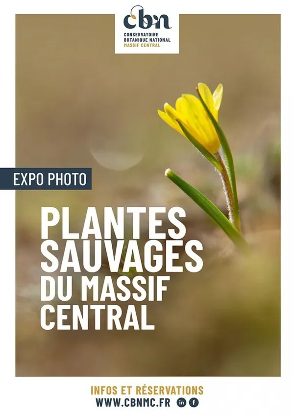 EXPO - Plantes sauvages du Massif central à Guéret