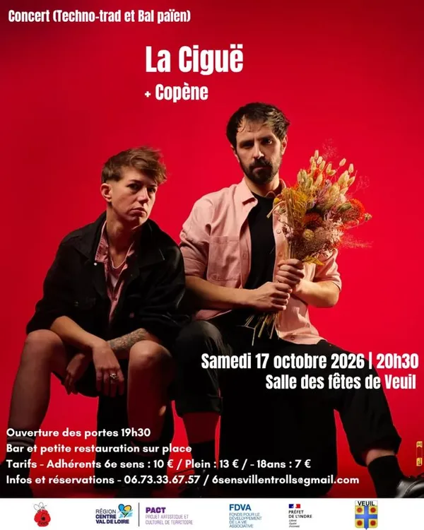 Concert, bal techno et néo-trad
