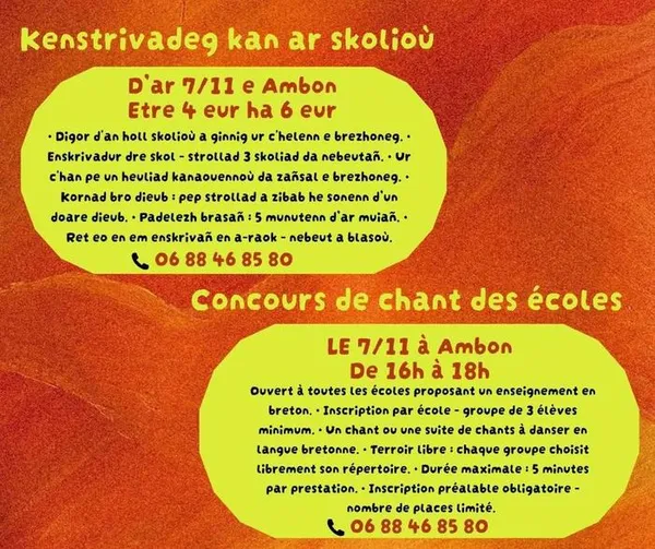 Concours de chant à danser - Collège-lycée Diwan Vannes