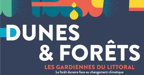 Dunes et forêts