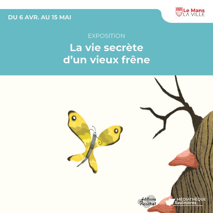 La vie secrète d’un vieux frêne