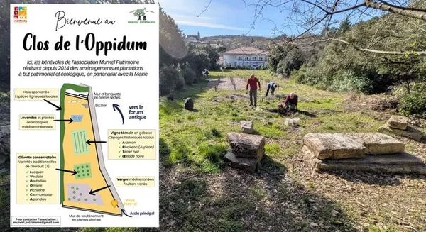 Visite commentée : inauguration du clos de l'Oppidum