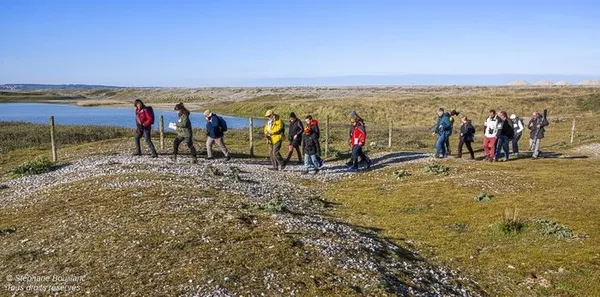 Sortie ornithologique au Hâble d'Ault