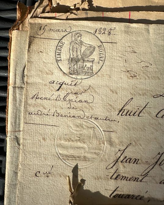 Visite guidée des archives communales