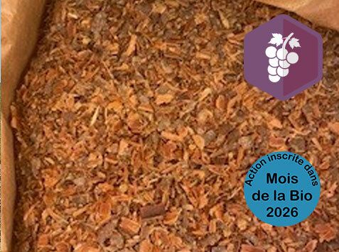Formation Les plantes pour soigner les plantes