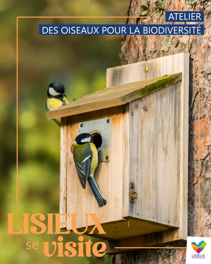 Atelier - Des oiseaux pour la biodiversité