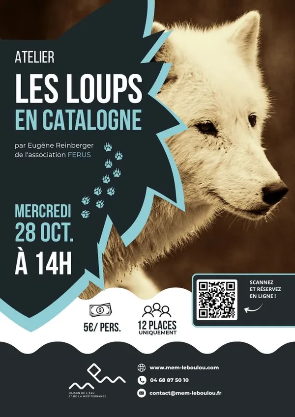 🐺 Spécial Halloween : Les loups en Catalogne 🎃