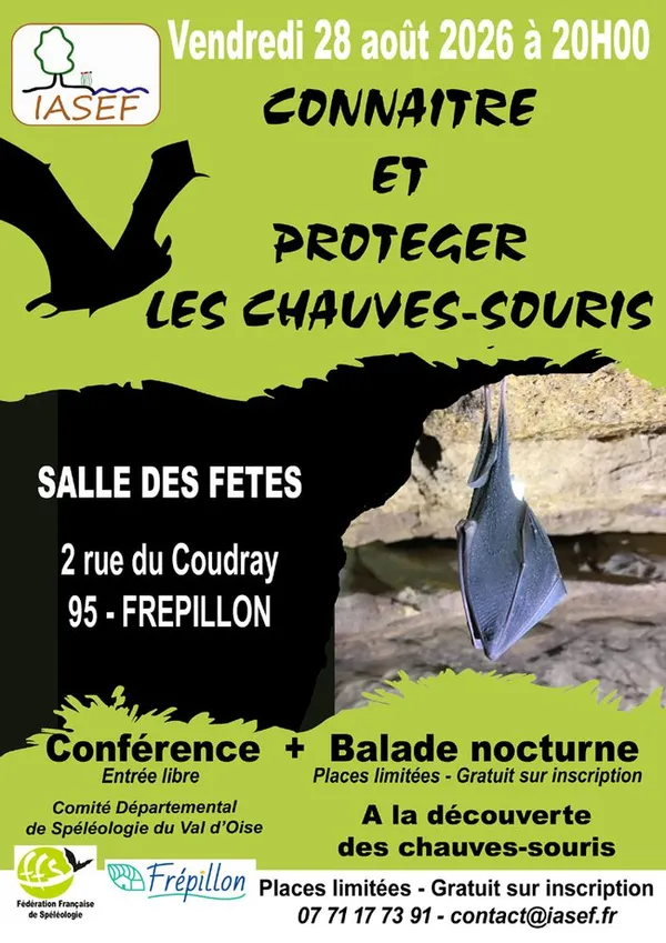 Connaître et protéger les chauves-souris à Frépillon