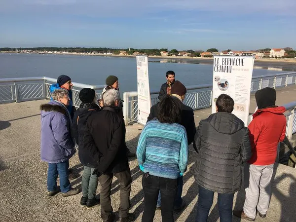Rendez-vous avec la Bernache - Accueils naturalistes
