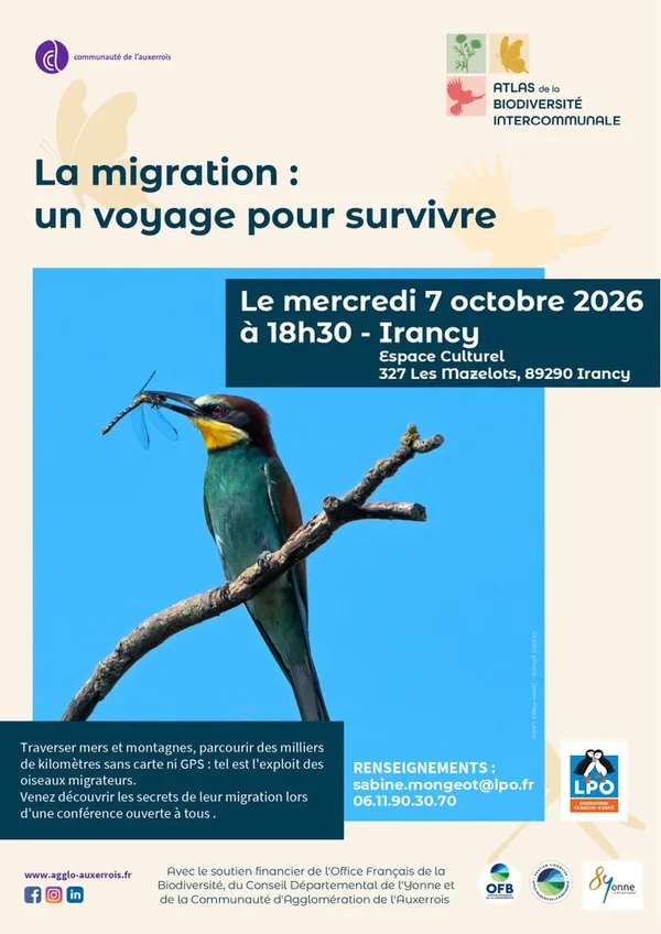 La migration : un voyage pour survivre
