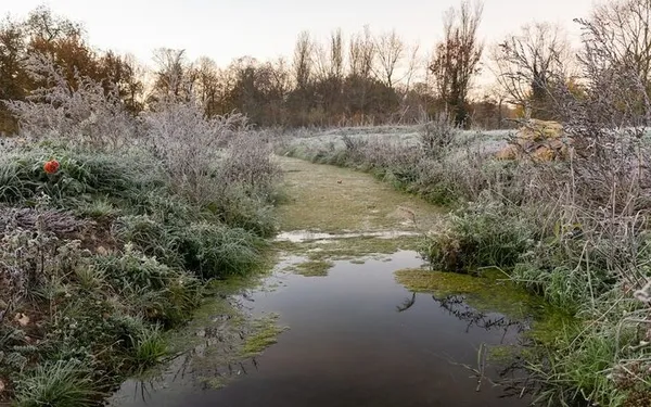 Le Bénévolat à la Prairie du canal