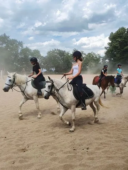 Séjour 100% équitation