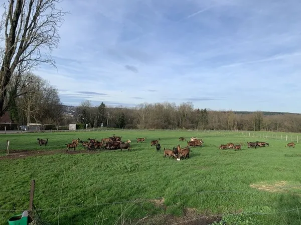 RANDONNEE ANNULEE AVEC L'INDISPONIBILITE DES ANIMATEURS