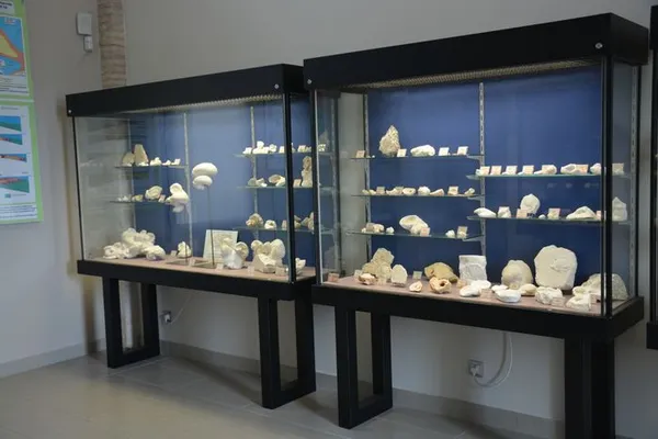 Visite commentée du Musée Urgonia