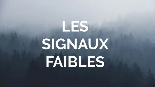 LES SIGNAUX FAIBLES