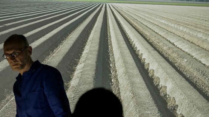 Conférence La nature des équilibres