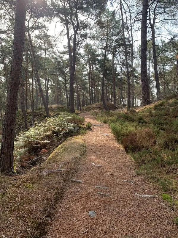Rando 1/2 journée / SUPPRIMEE