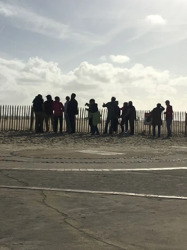 Venez découvrir la migration au Cap Ferret