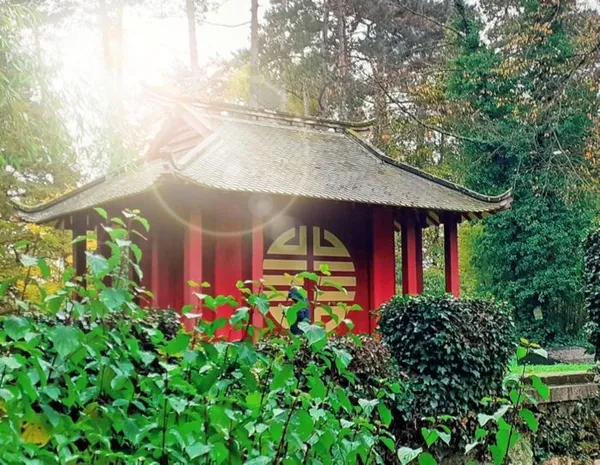 Marche et Méditation au Bois de Vincennes - jardin d'agronomie tropicale