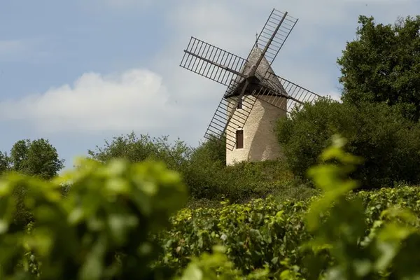 Visite du Moulin Sorine