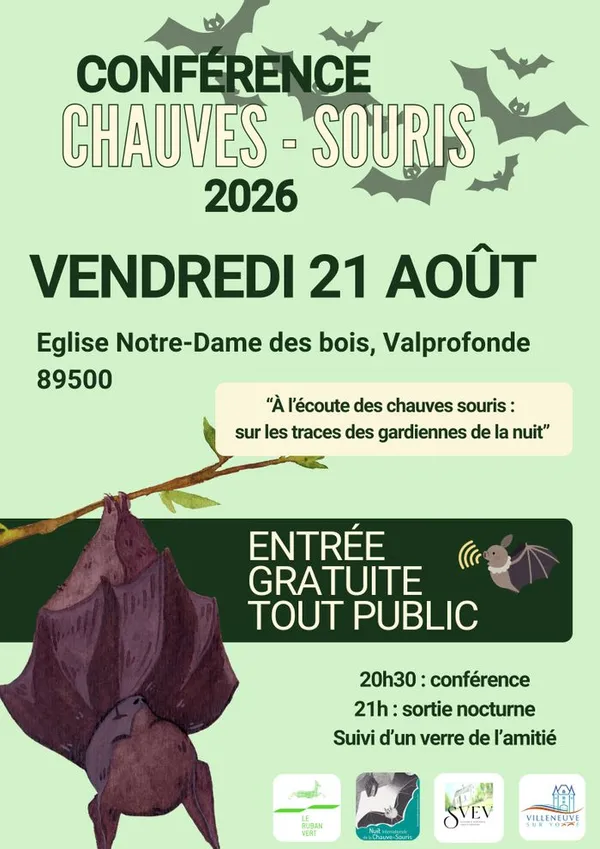 À l’écoute des chauves-souris : sur les traces des gardiennes de la nuit