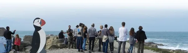 Observons la migration à l'Ile Grande