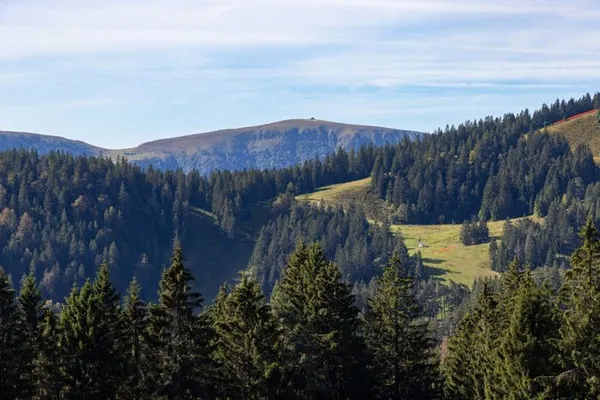 Sortie sur le terrain avec l’Office National des Forêts