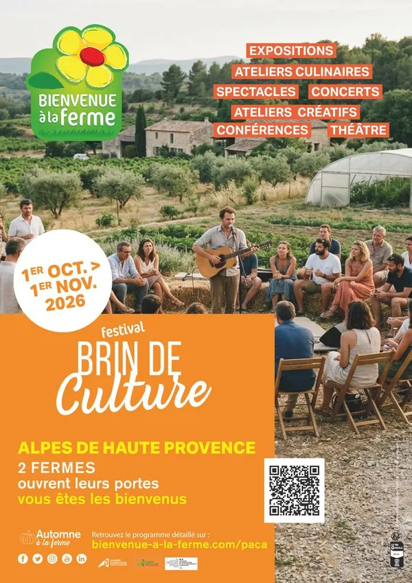 04 - Brin de culture
