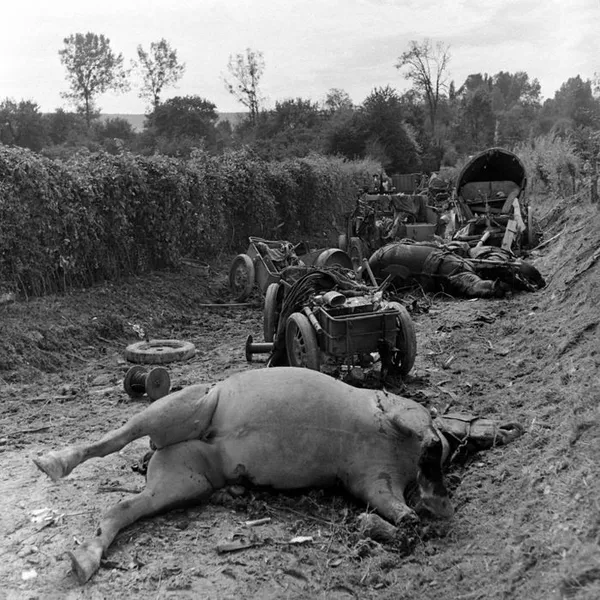 "Le cheval dans la Bataille de Normandie" par Stéphane Jonot, directeur du Mémorial de Montormel.